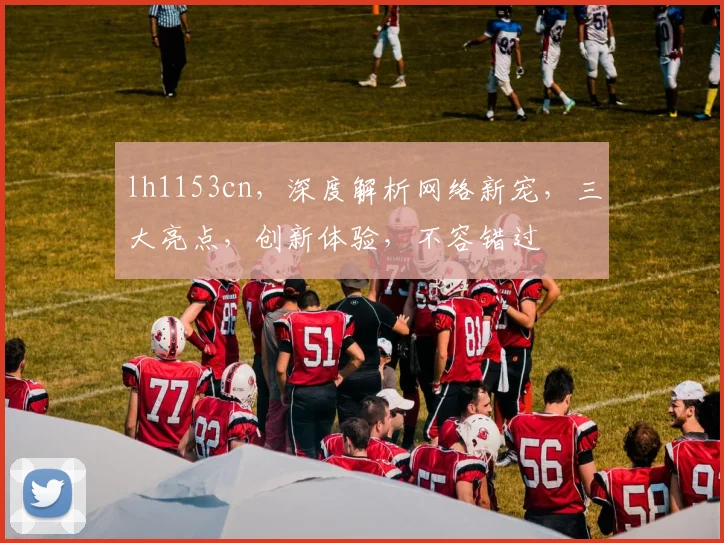 lh1153cn，深度解析网络新宠，三大亮点，创新体验，不容错过