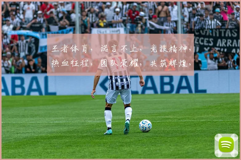 王者体育，诺言不止，竞技精神，热血征程，团队荣耀，共筑辉煌，三载征程，砥砺前行。